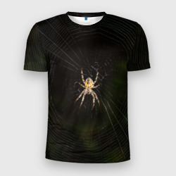 Мужская футболка 3D Slim Паук на паутине фото