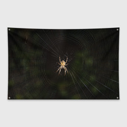 Флаг-баннер Паук на паутине фото