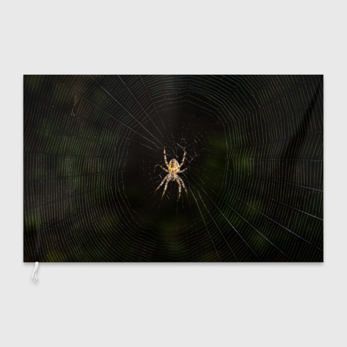 Флаг 3D Паук на паутине фото - фото 3