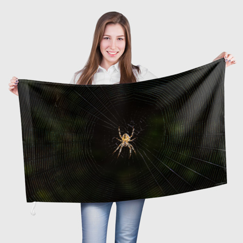 Флаг 3D Паук на паутине фото
