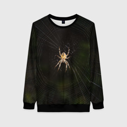 Женский свитшот 3D Паук на паутине фото