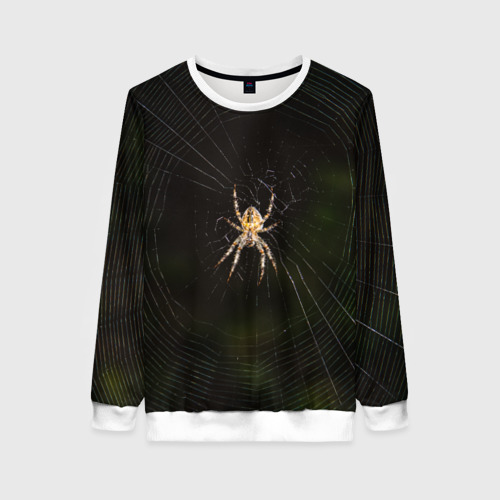 Женский свитшот 3D Паук на паутине фото, цвет 3D печать