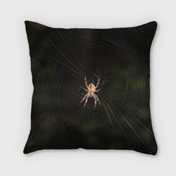 Подушка 3D Паук на паутине фото