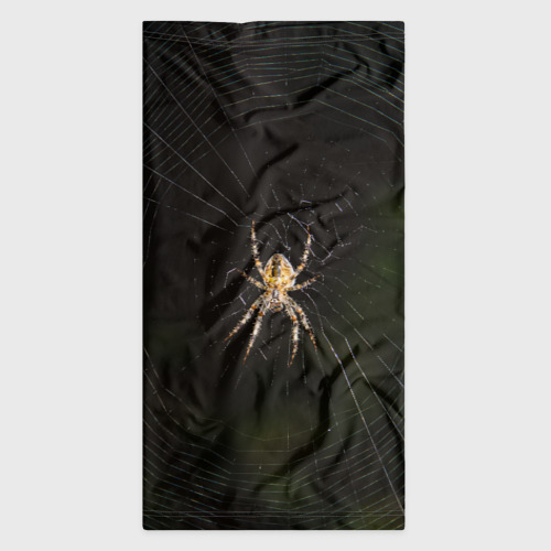 Бандана-труба 3D Паук на паутине фото, цвет 3D печать - фото 7