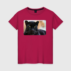 Пантера наблюдает – Женская футболка хлопок с принтом купить