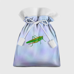 Подарочный 3D мешок Кузнечик зеленый