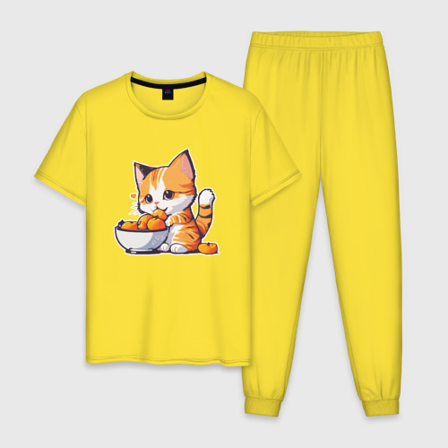 Мужская пижама хлопок с принтом Кот ест абрикосы, вид спереди #2