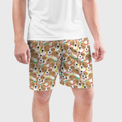 Мужские шорты спортивные Джек рассел терьер в разноцветных ошейниках - фото 2