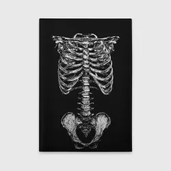 Обложка для автодокументов Скелет человека