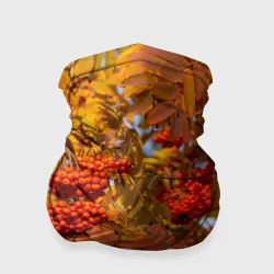 Бандана-труба 3D Ягода-рябина