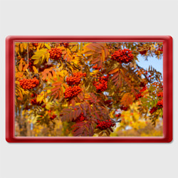 Магнит 45*70 Ягода-рябина