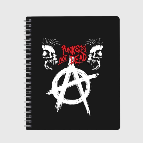 Тетрадь Punk's not dead - анархия
