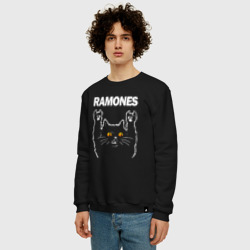 Мужской свитшот хлопок Ramones rock cat - фото 2