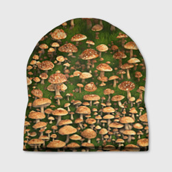 Шапка 3D Поле грибов