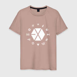 Мужская футболка хлопок Logo Exo