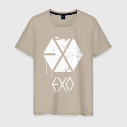Мужская футболка хлопок Exo лого