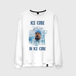 Мужской свитшот хлопок Ice Cube in ice cube