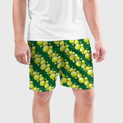 Мужские шорты спортивные Большой теннис - мячики - фото 2