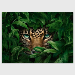 Поздравительная открытка Леопард выглядывает из кустов