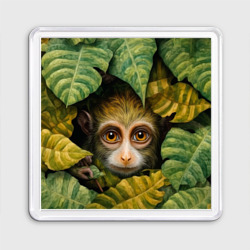 Магнит 55*55 Маленькая обезьянка  в листьях