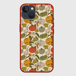 Тыквы цветные – Чехол для iPhone 13 с принтом купить
