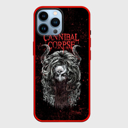 Чехол для iPhone 14 Pro Max Cannibal Corpse art
