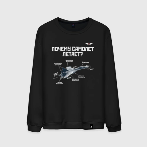 Мужской свитшот хлопок Почему самолет летает?
