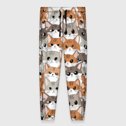 Женские брюки 3D Паттерн милые котики