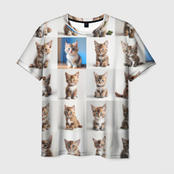 Мужская футболка 3D Много котят