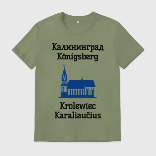 Мужская футболка хлопок Калининград