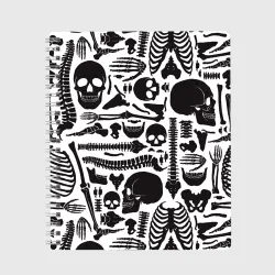 Тетрадь Human osteology
