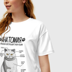 Женская футболка хлопок Oversize Британская кошка анатомия - фото 2