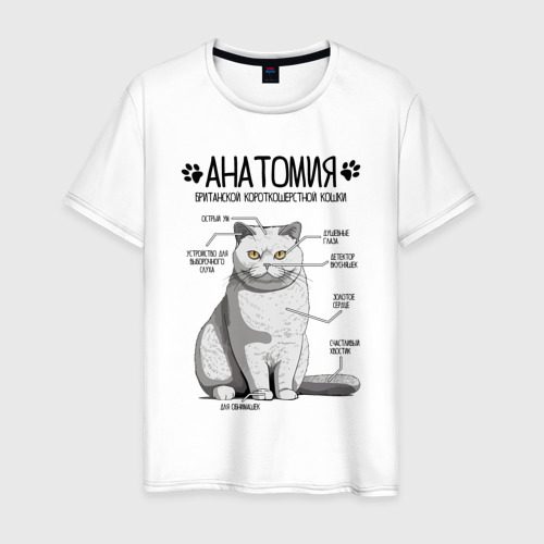 Мужская футболка из хлопка с принтом Британская кошка анатомия, вид спереди №1
