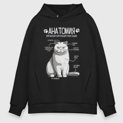 Мужское худи Oversize хлопок Анатомия британской кошки