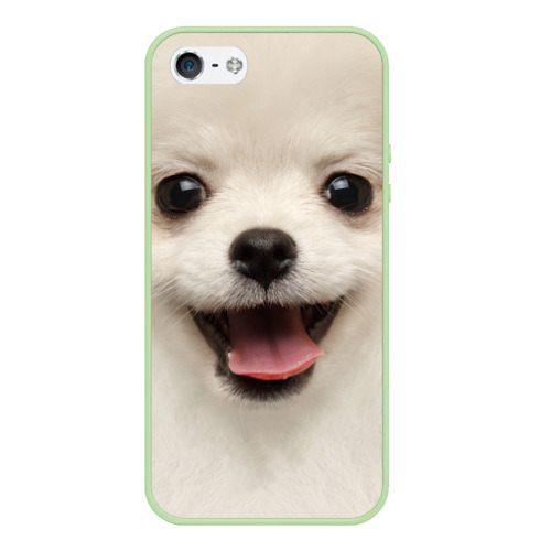 Чехол для iPhone 5/5S матовый Белая собачка - Померанский Шпиц, цвет салатовый