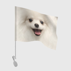 Флаг для автомобиля Белая собачка - Померанский Шпиц