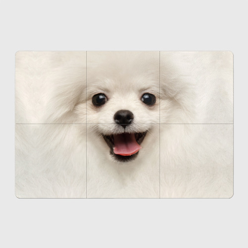 Магнитный плакат 3Х2 Белая собачка - Померанский Шпиц