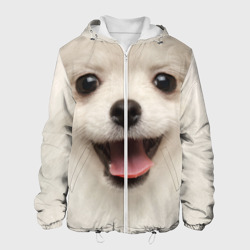 Мужская куртка 3D Белая собачка - Померанский Шпиц