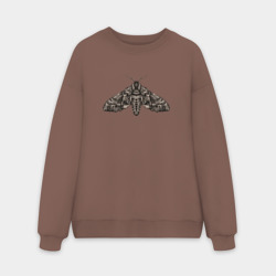 Мужской свитшот oversize без начеса хлопок Мотылек гравюра