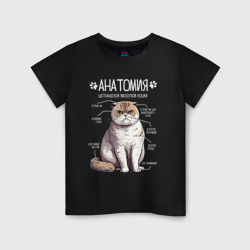 Детская футболка хлопок Шотландская кошка анатомия