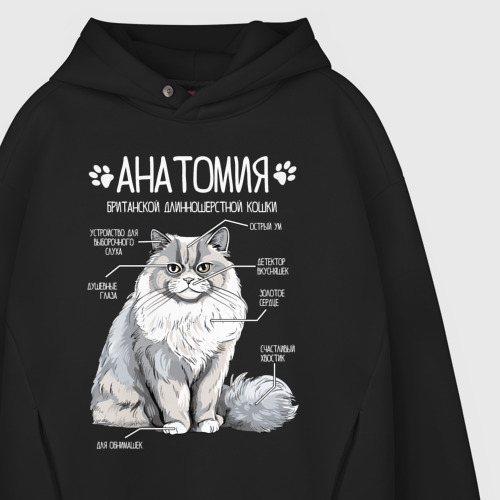 Мужское худи Oversize хлопок Анатомия британской длинношерстной кошки, цвет черный - фото 4