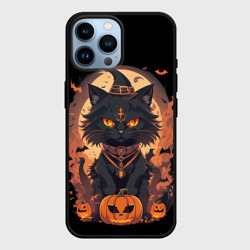 Чехол для iPhone 14 Pro Max Черный кот в хеллоуине