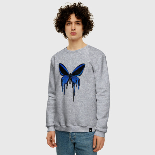 Мужской свитшот хлопок с принтом Blue butterfly, фото на моделе #1