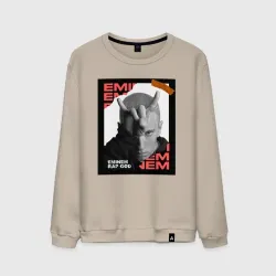 Мужской свитшот хлопок Rap god