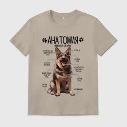 Мужская футболка хлопок Анатомия немецкой овчарки, строение собаки