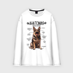 Мужской лонгслив oversize хлопок Анатомия немецкой овчарки, строение собаки