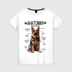 Женская футболка хлопок Анатомия немецкой овчарки, строение собаки