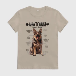 Женская футболка хлопок Анатомия немецкой овчарки, строение собаки