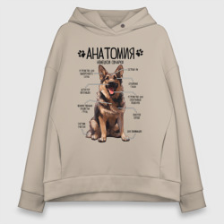 Женское худи Oversize хлопок Анатомия немецкой овчарки, строение собаки