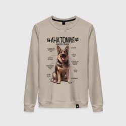 Женский свитшот хлопок Анатомия немецкой овчарки, строение собаки
